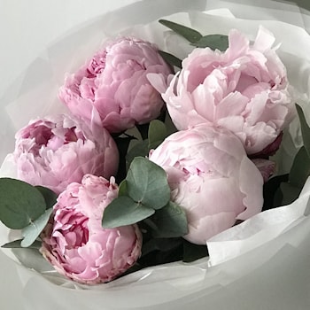 Промокод 10% от магазина «Букет» на Flowwow цветы в Минске — ноябрь, декабрь 2025 – январь, февраль 2026