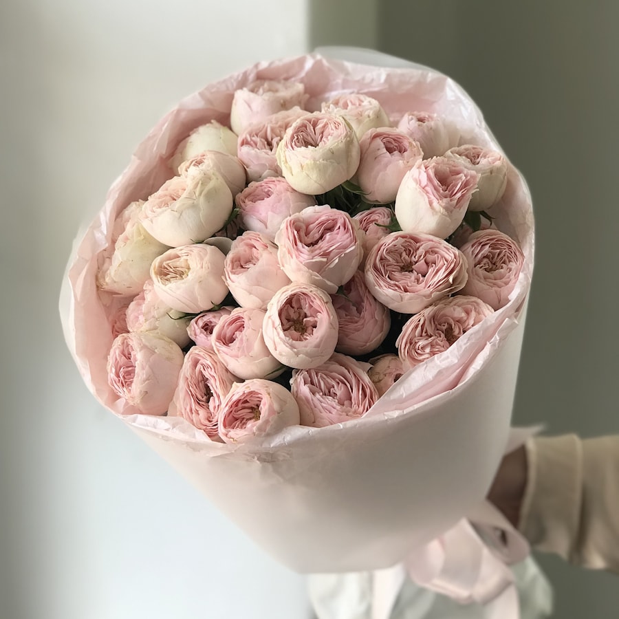 9 кустовых пионовидных роз Mansfield park