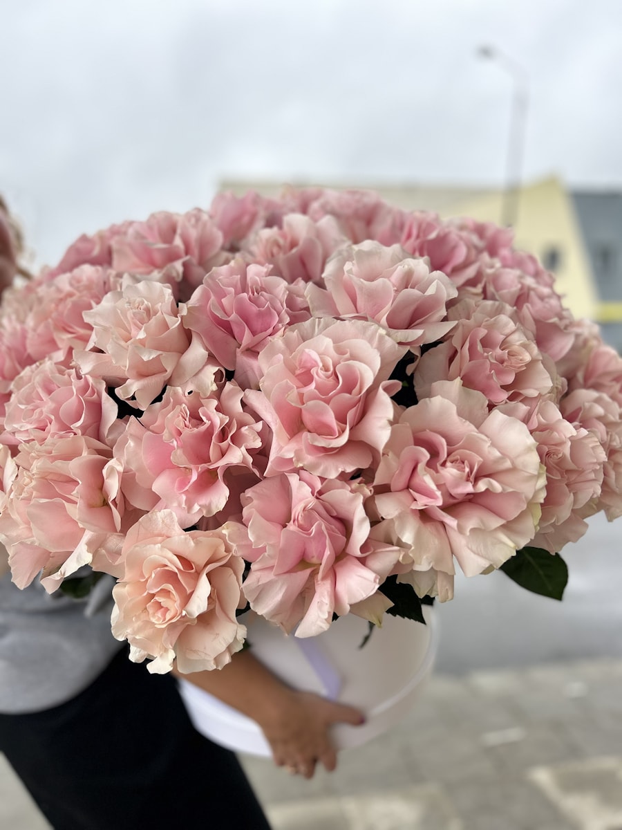 французская роза в коробке