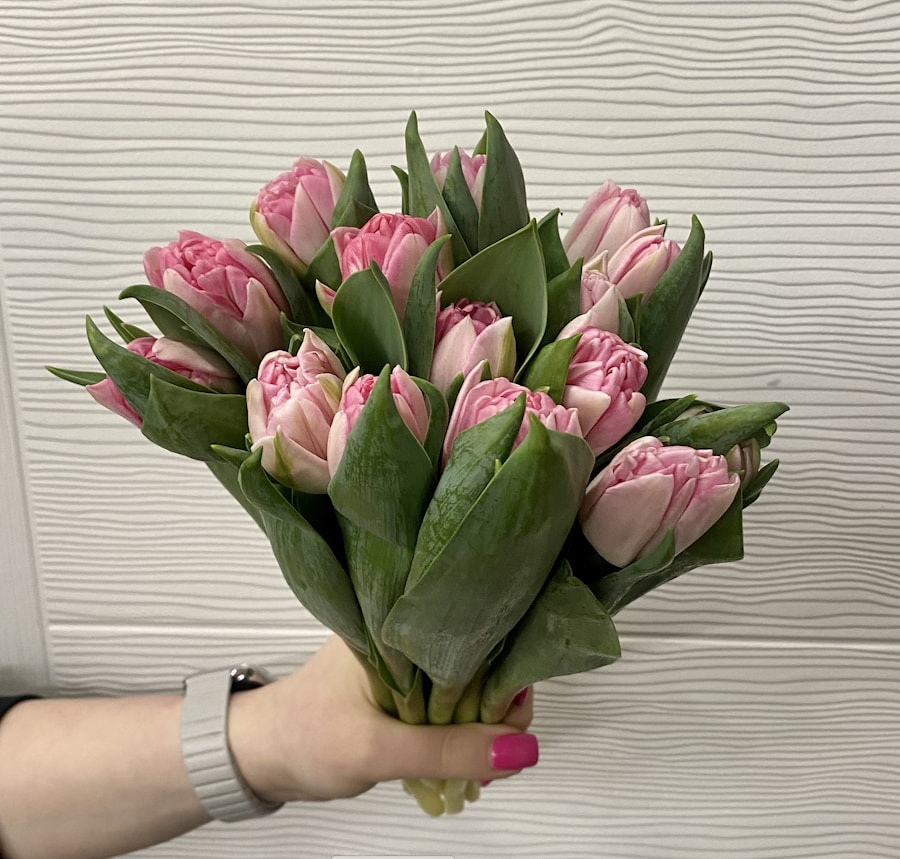 Букет из 25 тюльпанов "Амстердам"