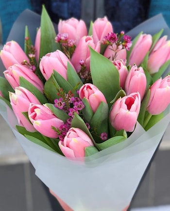 Букет "Тюльпаны розовые" из 17 штук   