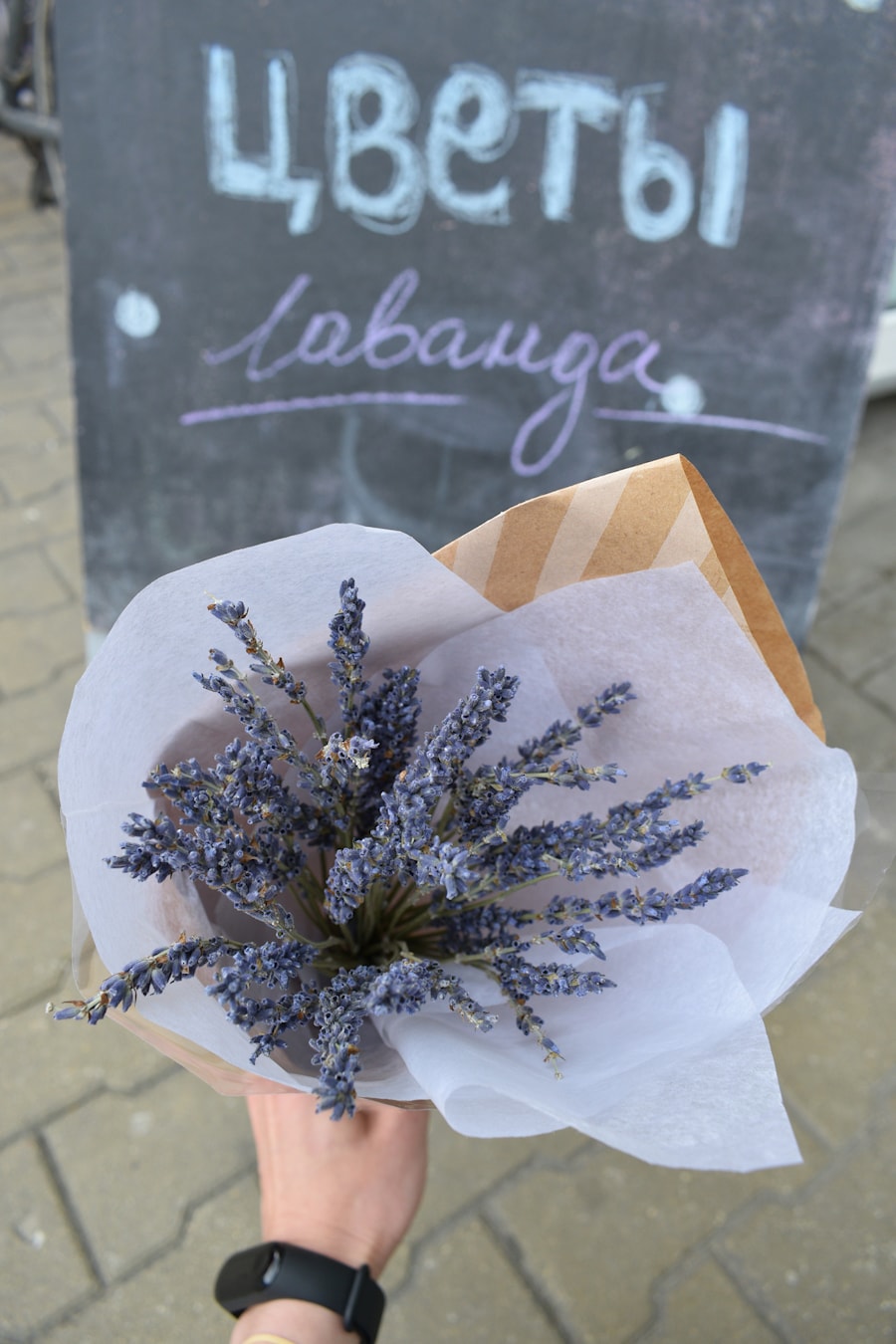 Лаванда в Минске, Беларусь