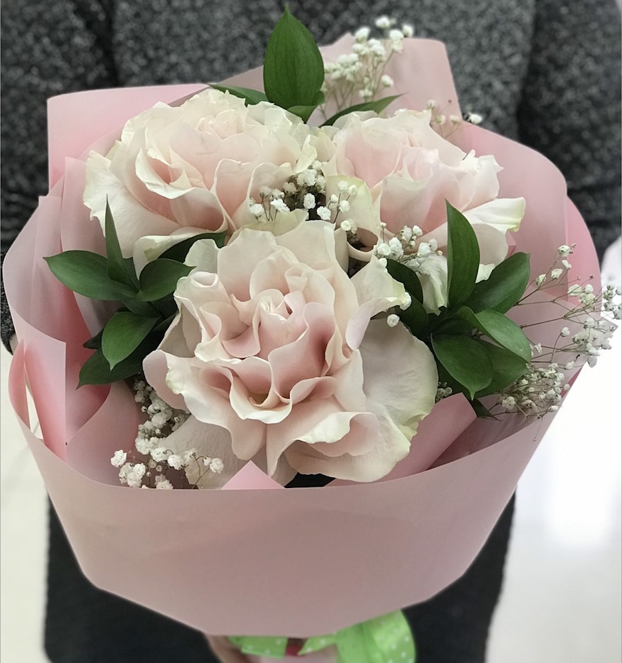 Три франзуских Пинка 2-0