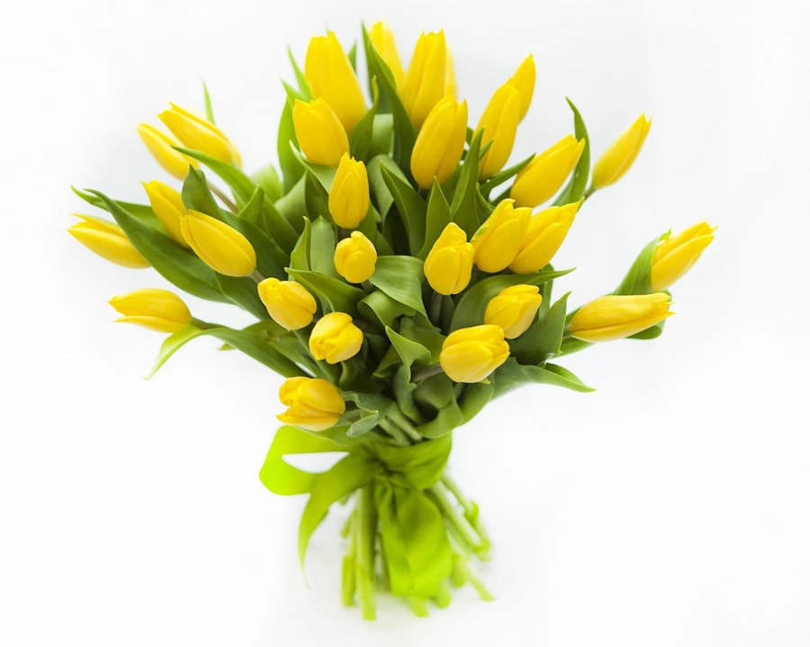 Желтые тюльпаны