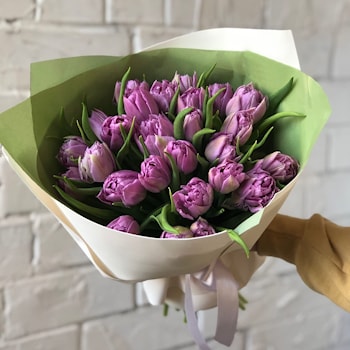 Букет из 25 фиолетовых тюльпанов "Амстердам"   