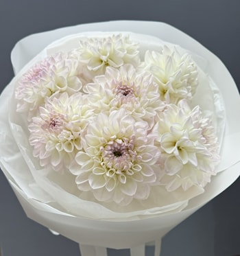 Букет из георгин в Минске   